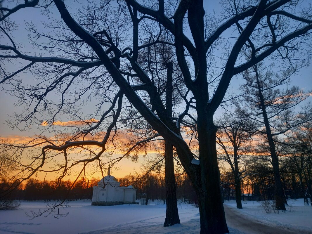 Рассвет - Сапсан 