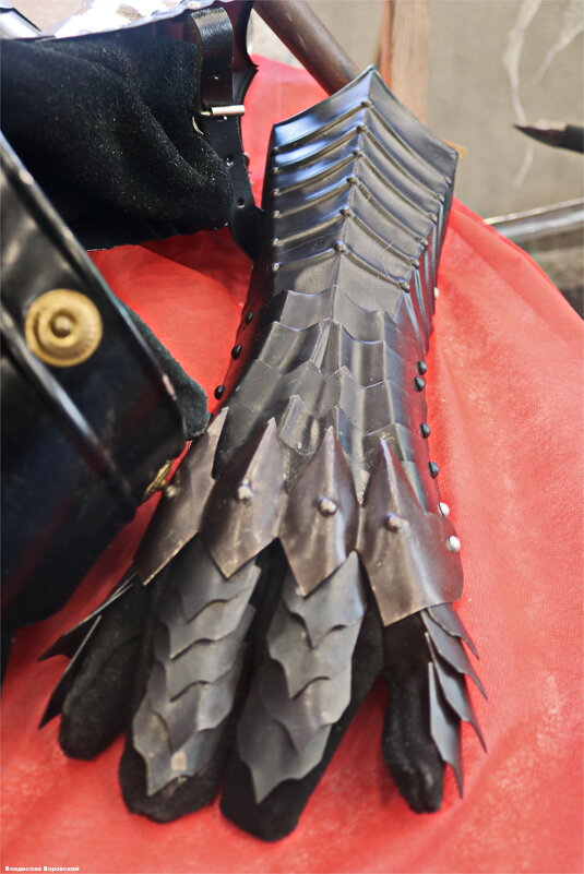 Выставка оружие Хайфа 2025 - Владислав Воровский Выставка оружие Хайфа 2025 - Владислав Воровский