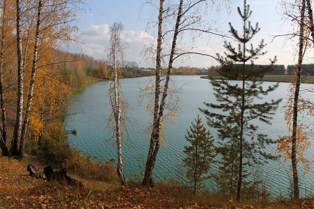 Осень - tamara kremleva Осень - tamara kremleva