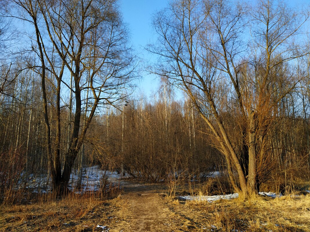 Провожая несостоявшуюся зиму - Андрей Лукьянов Провожая несостоявшуюся зиму - Андрей Лукьянов