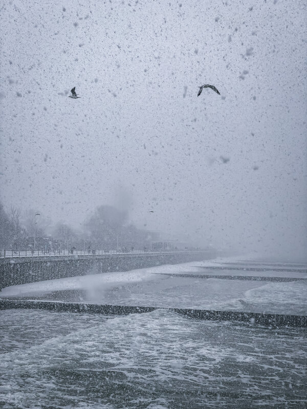 Заснеженное Балтийское побережье - Tanya Nikorovskaya