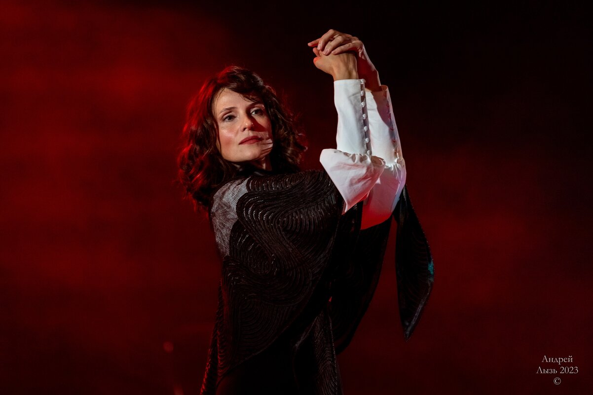 «Чайка» Московский театр «Школа драматического искусства» - Андрей Lyz