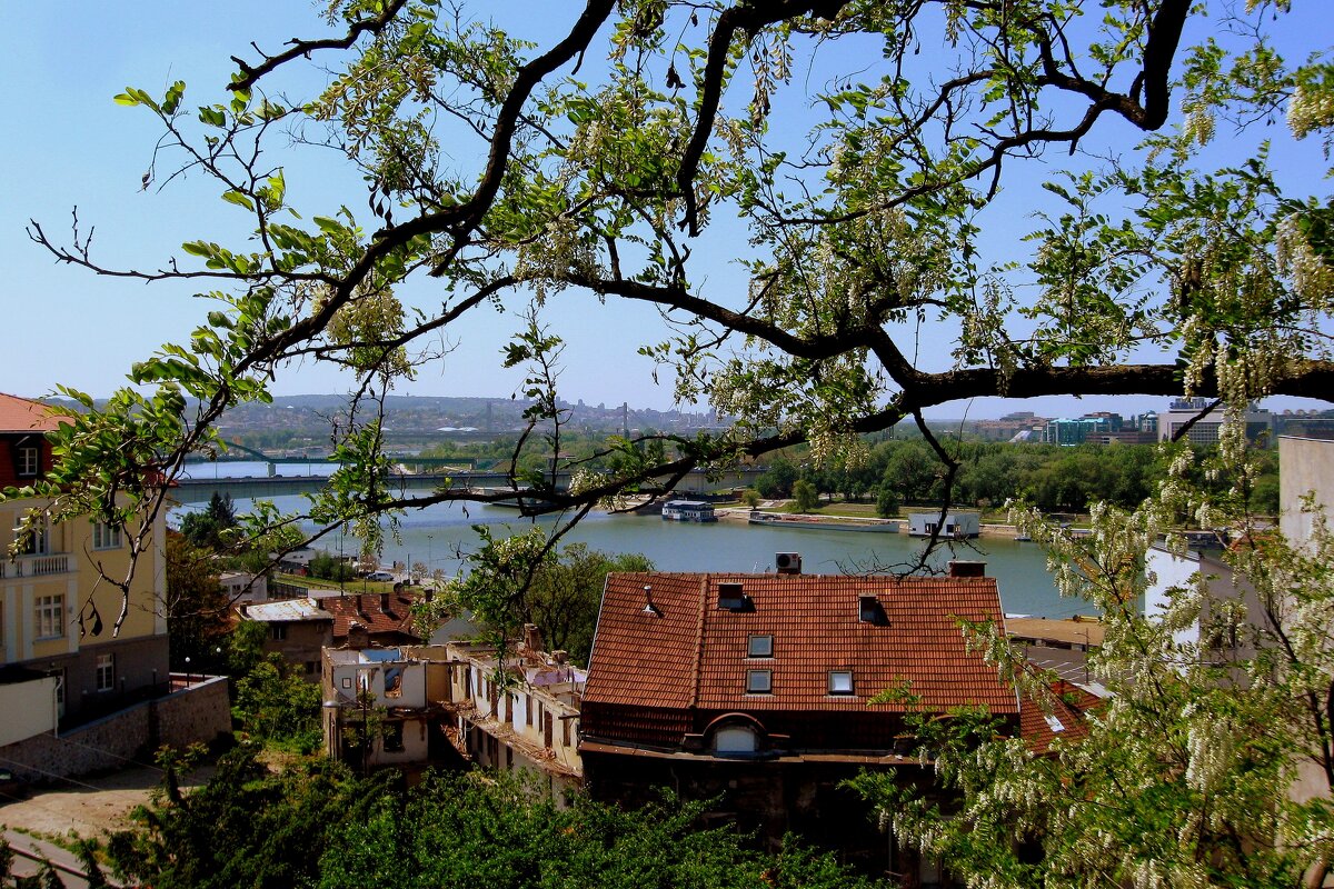 БЕЛГРАД - Татьяна Касьяненко БЕЛГРАД - Татьяна Касьяненко