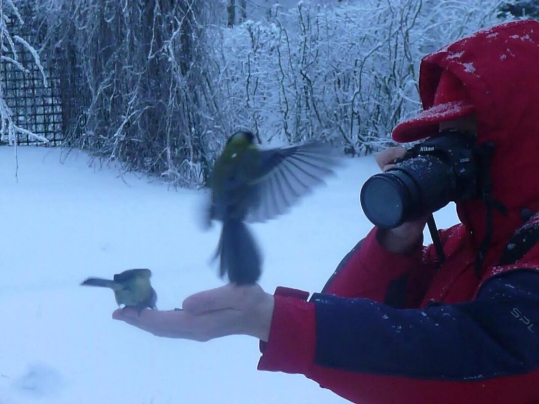 Забавный кадр получился. - Надежда 