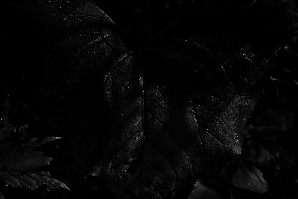 Название отсутствует - Денис Безногов