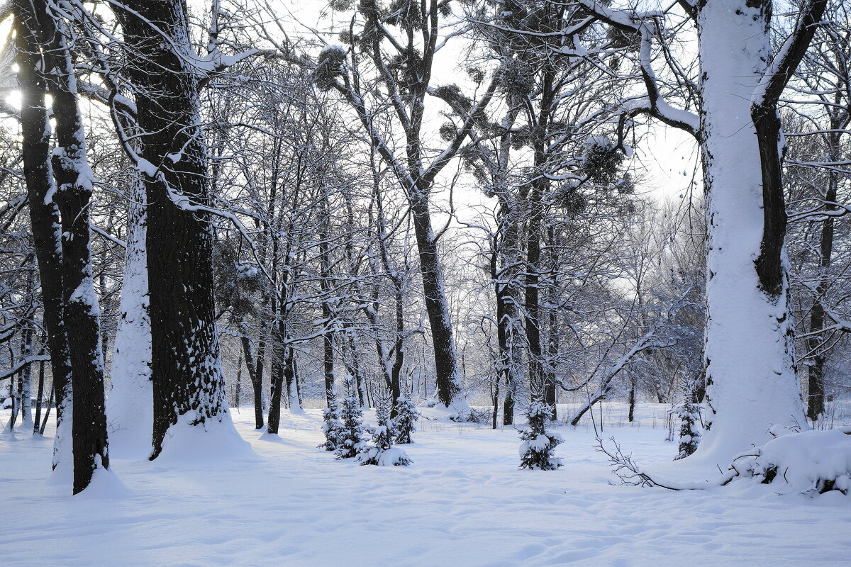 Февраль - Рита Симонова