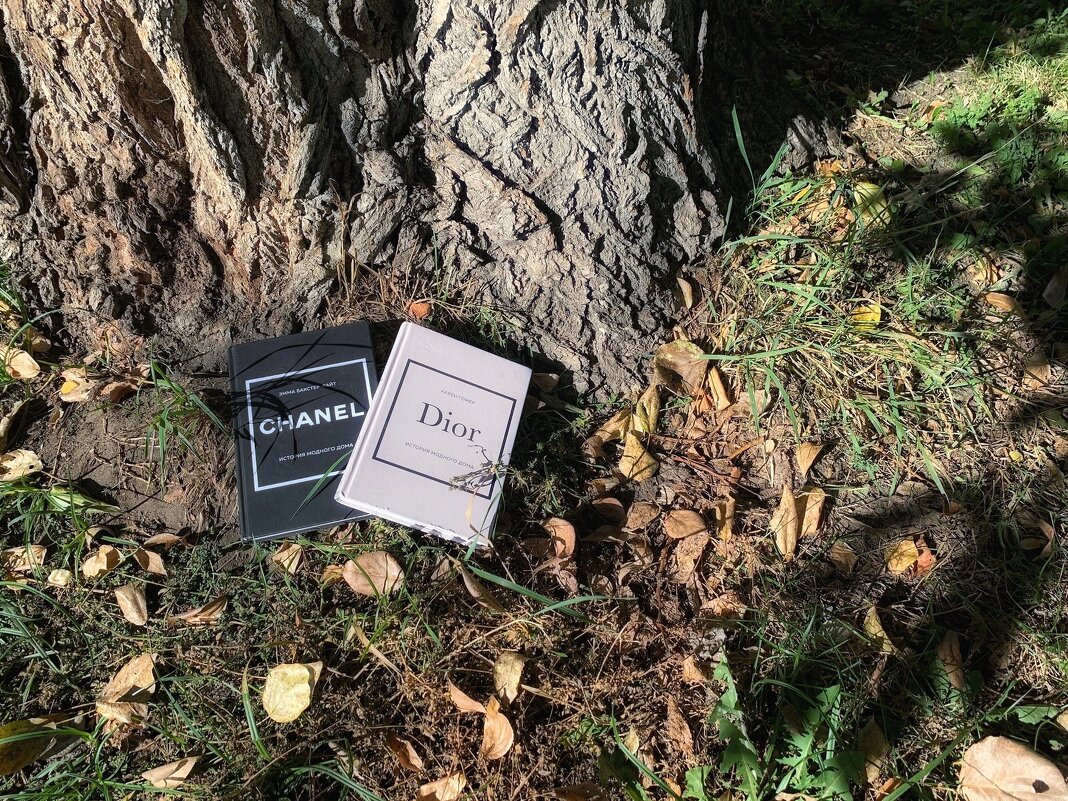 Чтение под деревом - Alexandra Sakharova