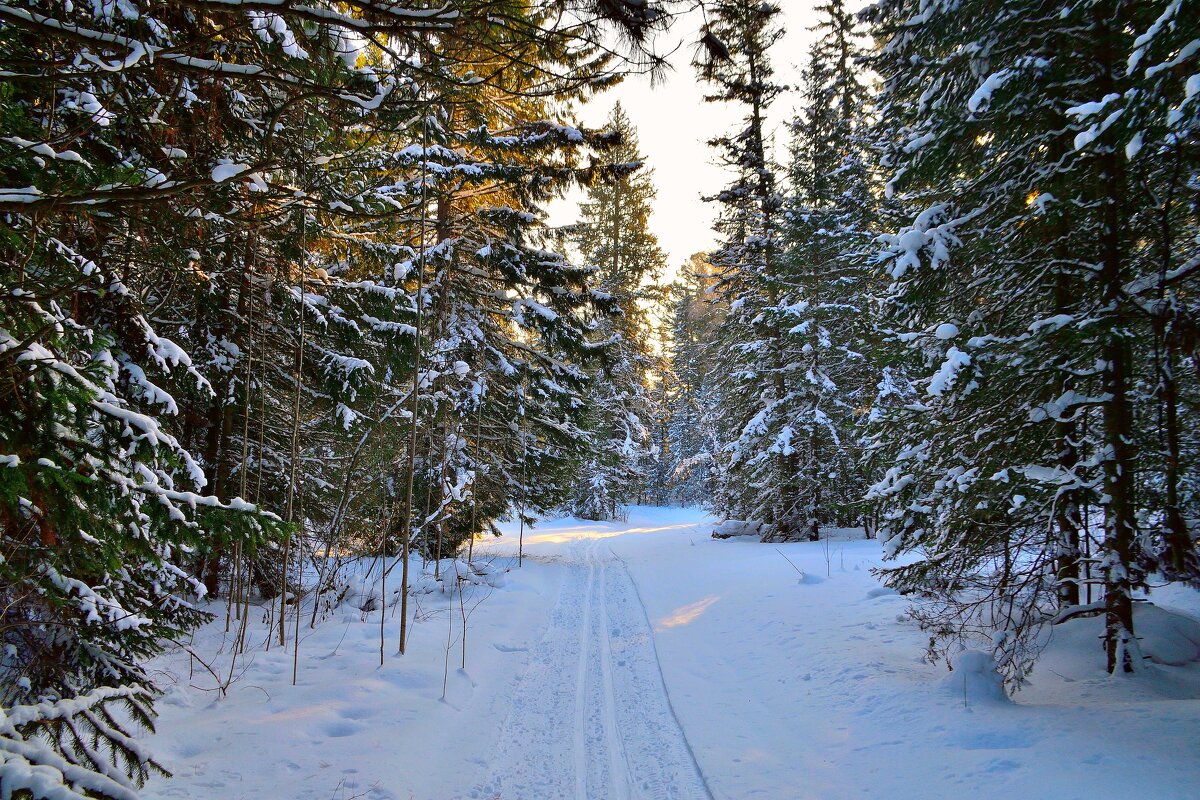 - - Владимир Мигонькин