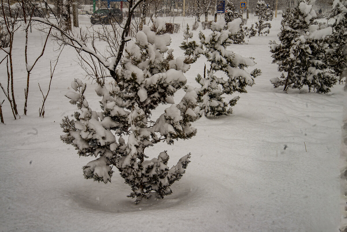 Утеплилась - Анатолий Чикчирный Утеплилась - Анатолий Чикчирный