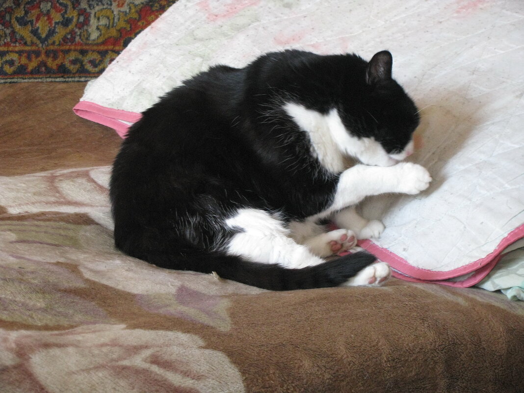 Чистюля - Людмила Смородинская Чистюля - Людмила Смородинская