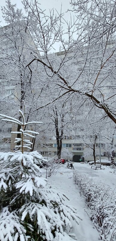 последний день зимы - ИРЭН@ .