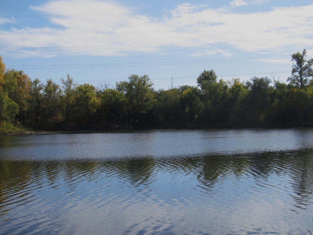 рядом с Волгой - Елена Шаламова