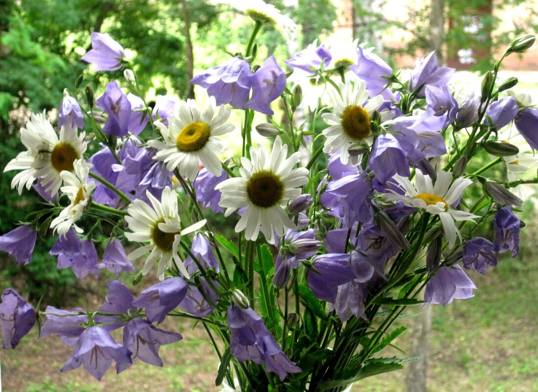 Букет лета - Елена Семигина