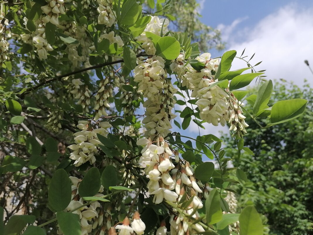 ,,, - Сергей Тимоновский