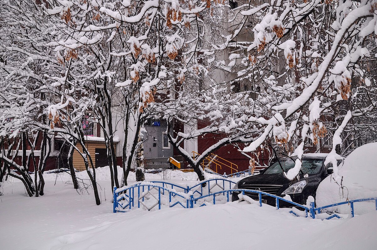 Зима стучалась  в дверь ко мне ! ,,,) - Анатолий Колосов