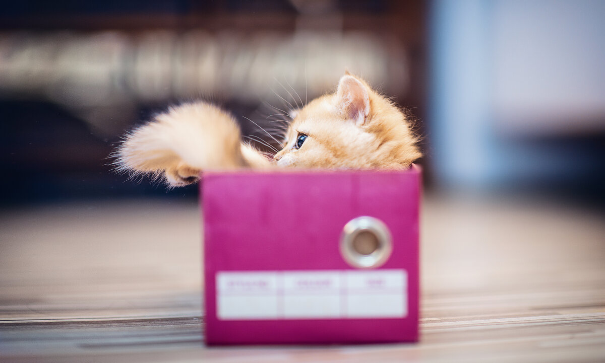 В домике) - Лилия . В домике) - Лилия .