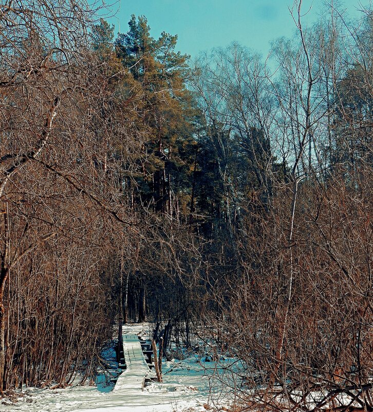 "Чёртов мостик" - Леонид leo
