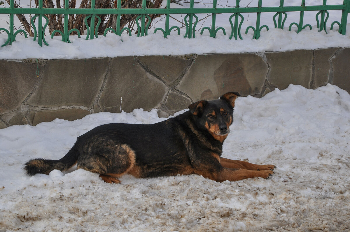 Ждёт - Татьяна Машошина