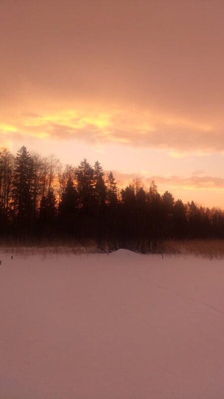 Февральское утро. - Ольга 