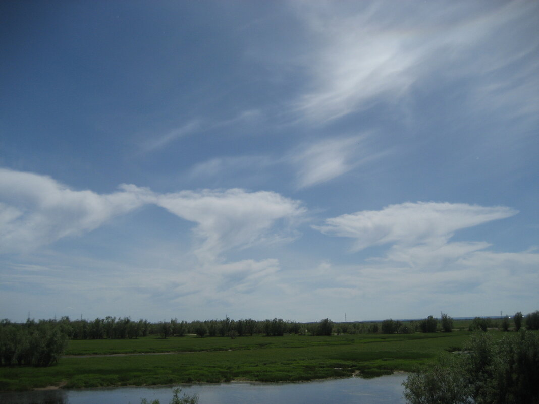 Лето - Anna Ivanova