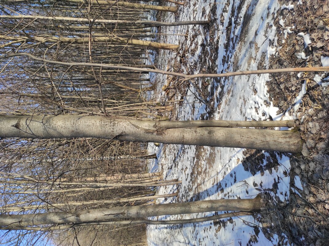 Объятия - Игорь Ч. Объятия - Игорь Ч.