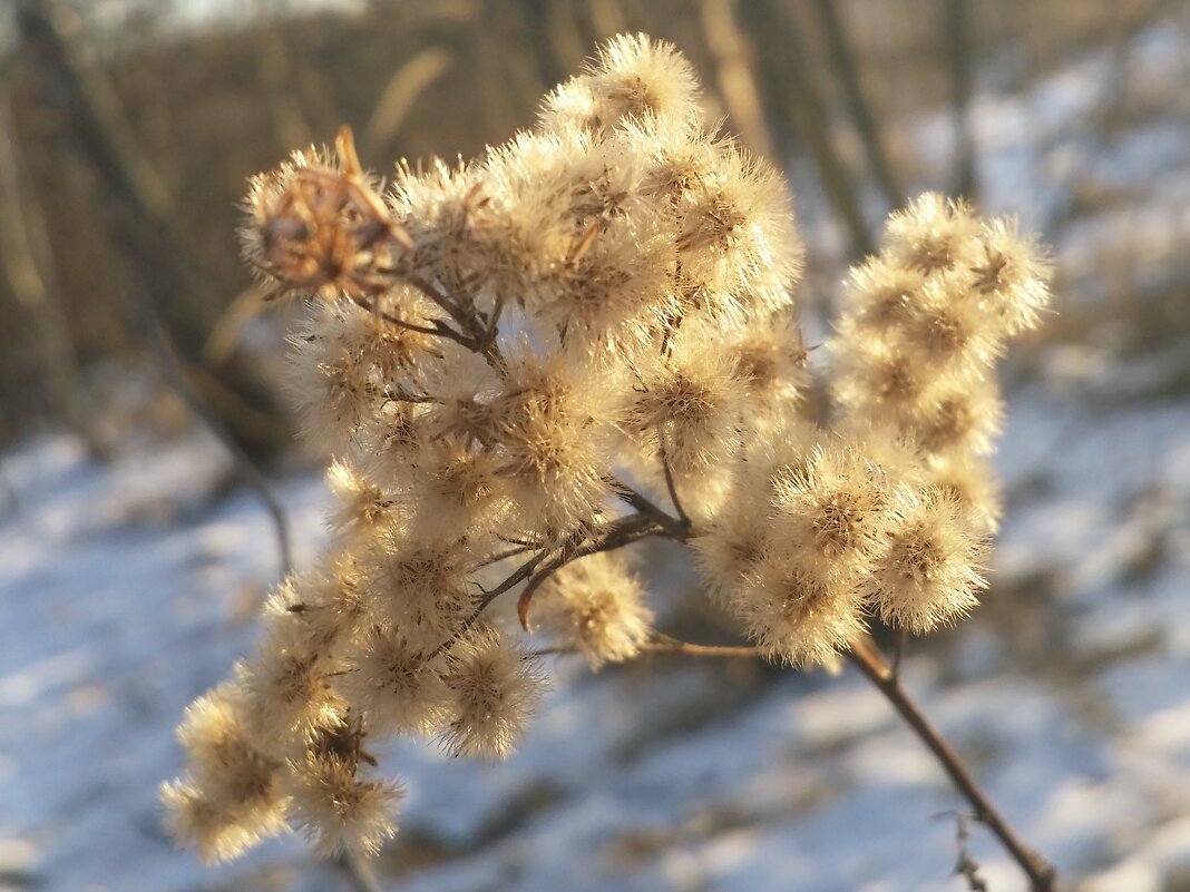... - Наталия Кольцова