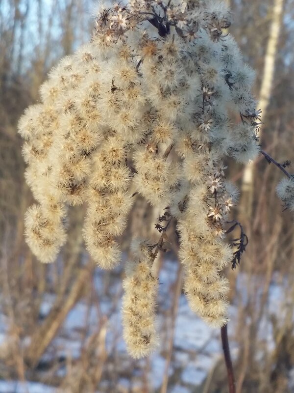 ... - Наталия Кольцова