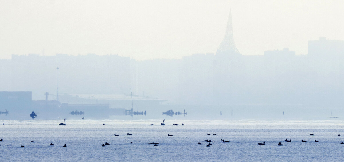 ... - Владимир 