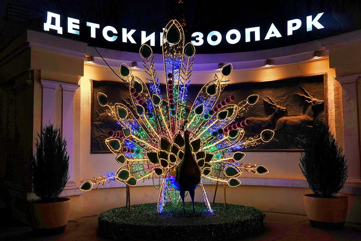 Приходите завтра. - Татьяна Помогалова