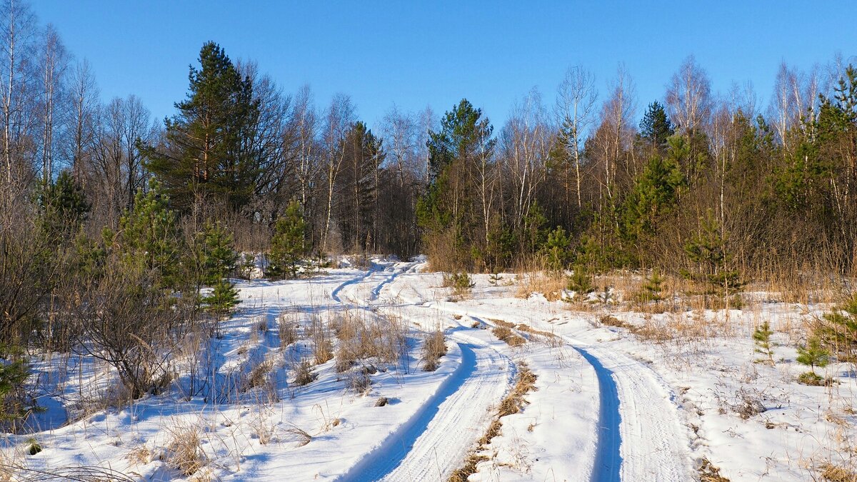 Дорога рыбаков к Днепру. - Милешкин Владимир Алексеевич Дорога рыбаков к Днепру. - Милешкин Владимир Алексеевич