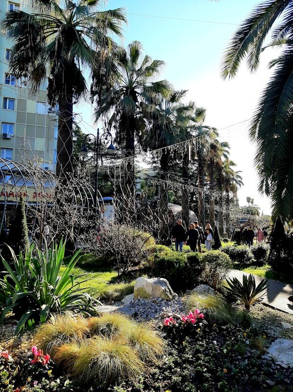 Навагинская в январе - Tata Wolf Навагинская в январе - Tata Wolf