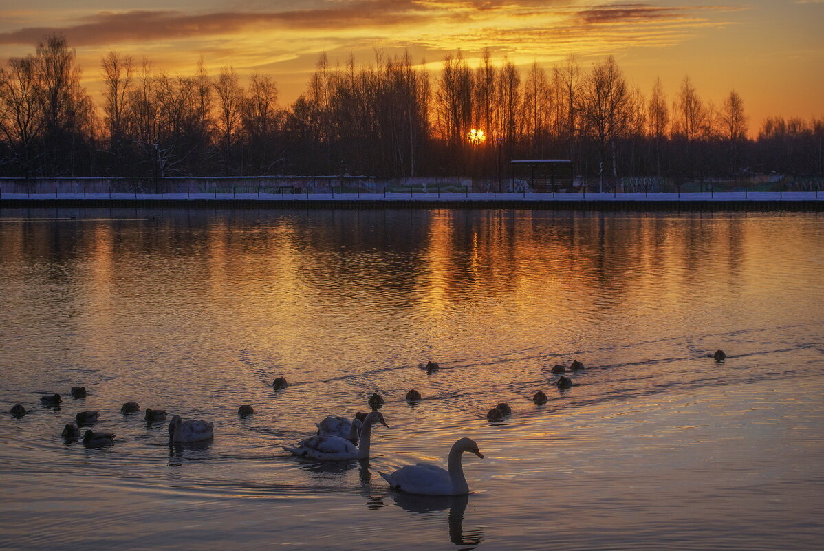 **** - Сергей  Могутов 