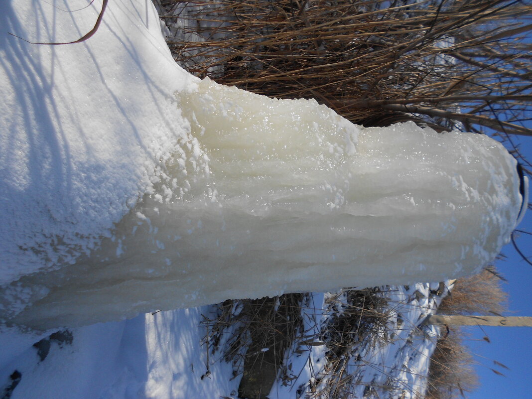 февраль - Елена Шаламова