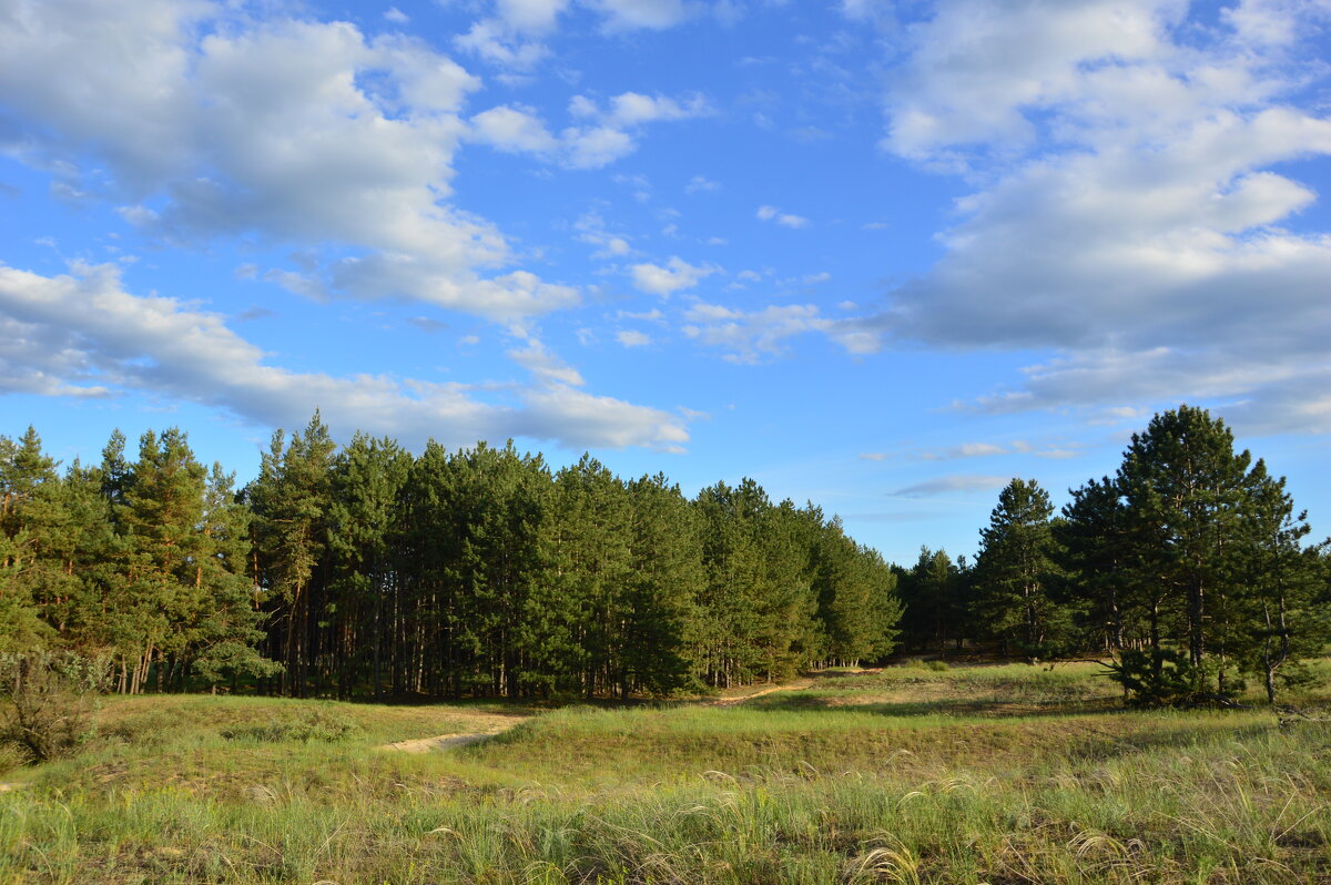 Донские зарисовки. - Виктор 