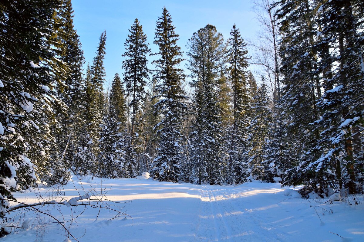 - - Владимир Мигонькин
