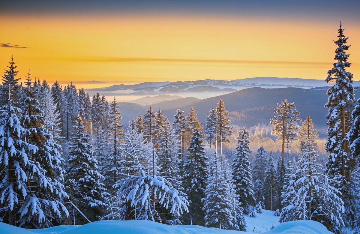 Зимний лес - Юрий Гайворонскiий Зимний лес - Юрий Гайворонскiий
