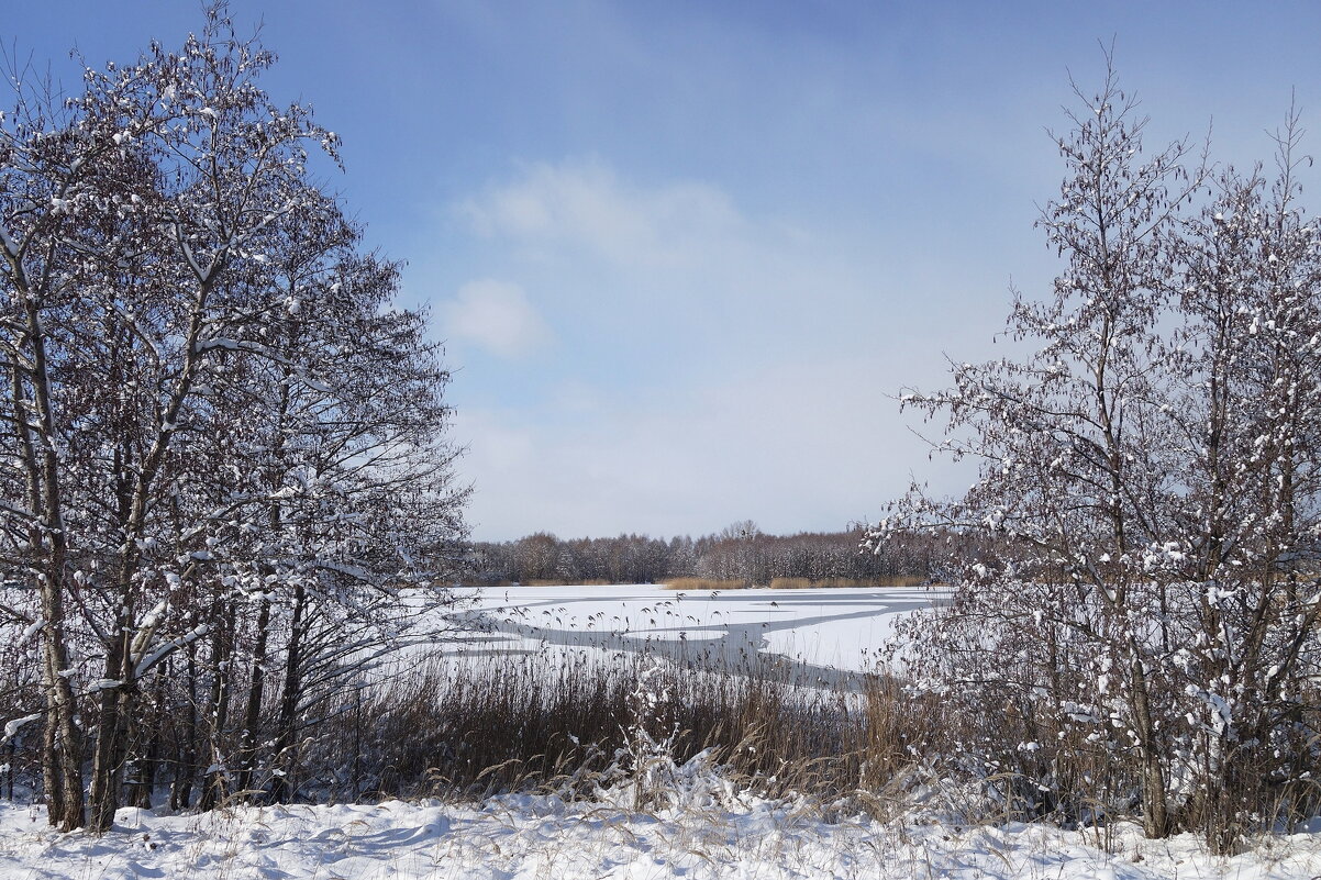 В окрестностях Калининграда - Рита Симонова В окрестностях Калининграда - Рита Симонова