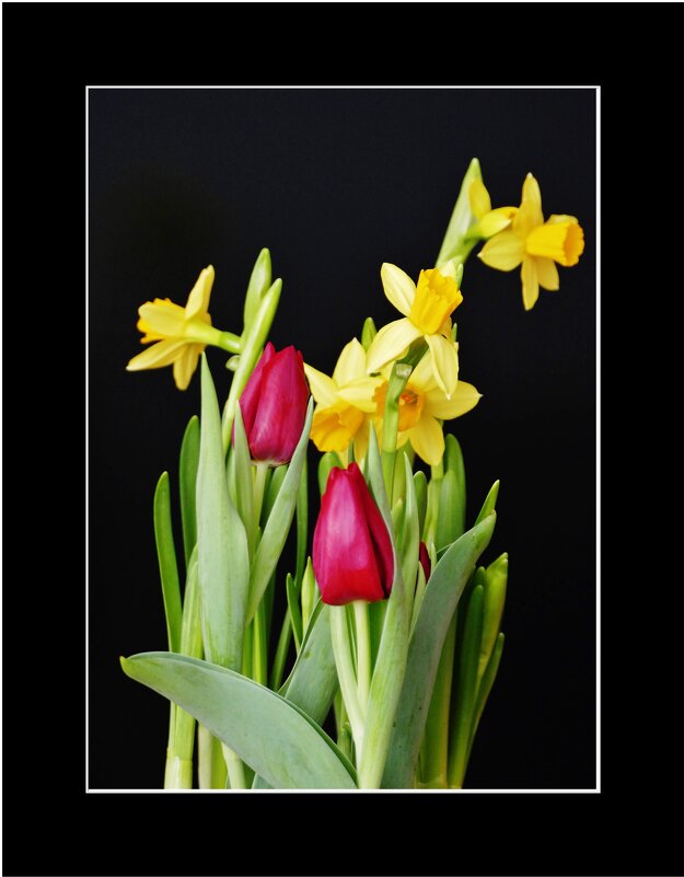 С ПЕРВЫМ ДНЁМ ВЕСНЫ! - Elvira E. С ПЕРВЫМ ДНЁМ ВЕСНЫ! - Elvira E.