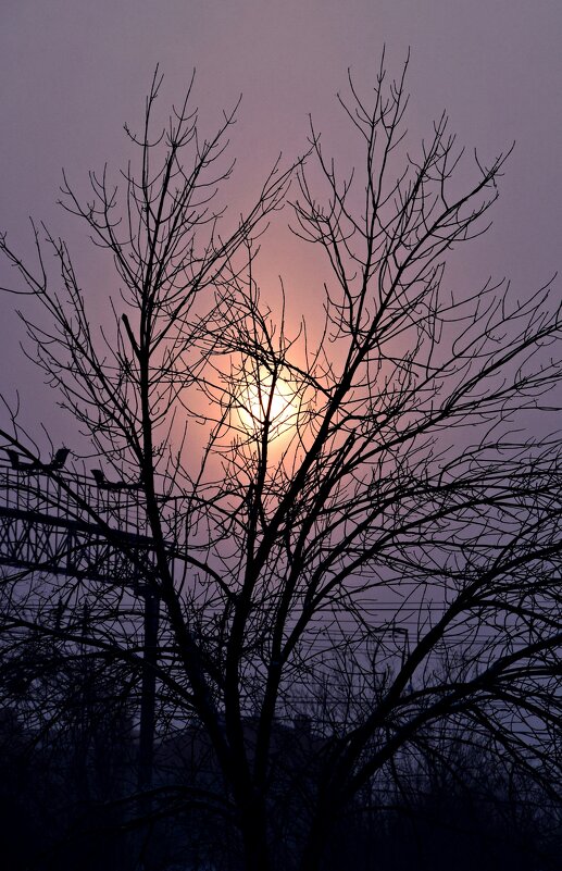 Зимнее утро - Павленко Михаил Зимнее утро - Павленко Михаил