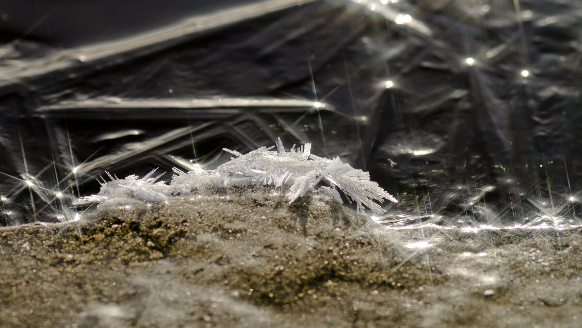 Игольчатость - sorovey Sol