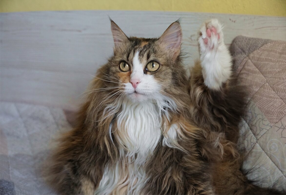 Всегда ЗА! - Наталия Григорьева Всегда ЗА! - Наталия Григорьева