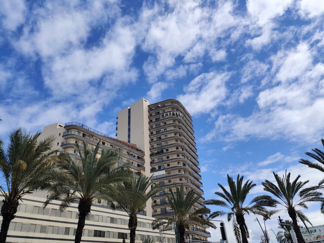 Веснее небо в первый день весны! - Светлана Хращевская Веснее небо в первый день весны! - Светлана Хращевская