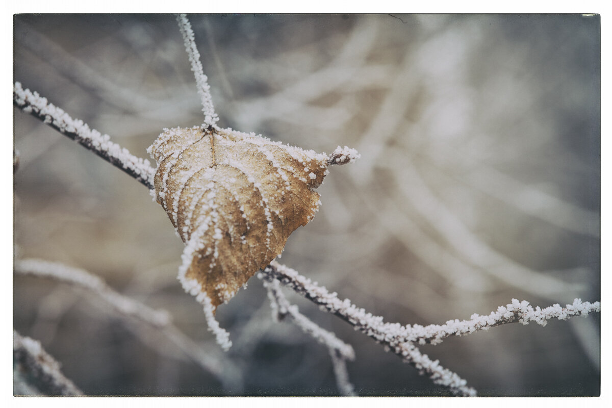 Приморозило - human 1976 Приморозило - human 1976