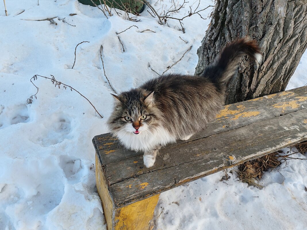 Незнакомка - tamara kremleva Незнакомка - tamara kremleva