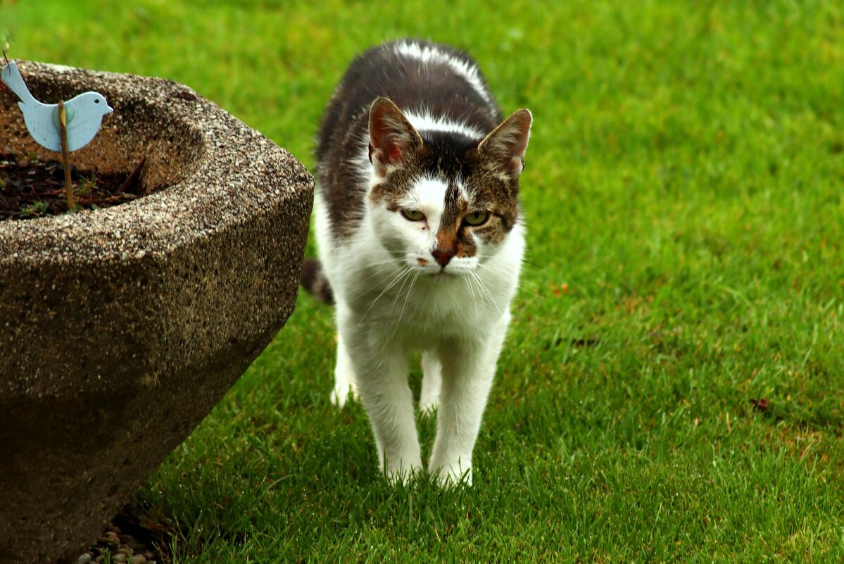 Облом... - Юрий. Шмаков