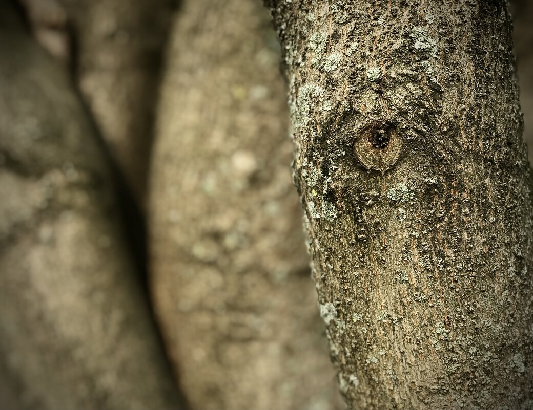 Выразительный взгляд - Любовь Выразительный взгляд - Любовь