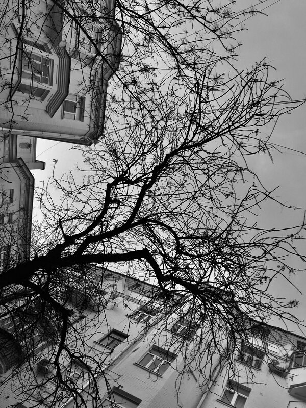 Московский дворик - Любовь 