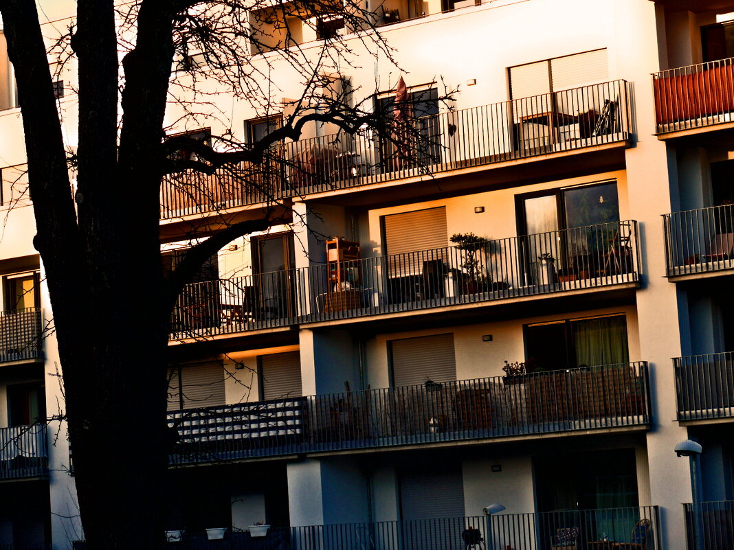 Фаинген 91 - Алексей Кузнецов