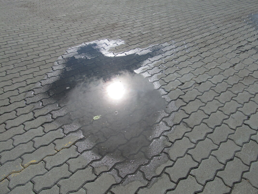 и лужа прекрасна, когда в ней отражается солнце - Елена Шаламова и лужа прекрасна, когда в ней отражается солнце - Елена Шаламова