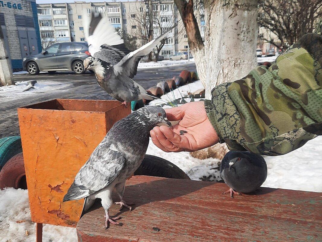 Друзья - Сеня Белгородский Друзья - Сеня Белгородский